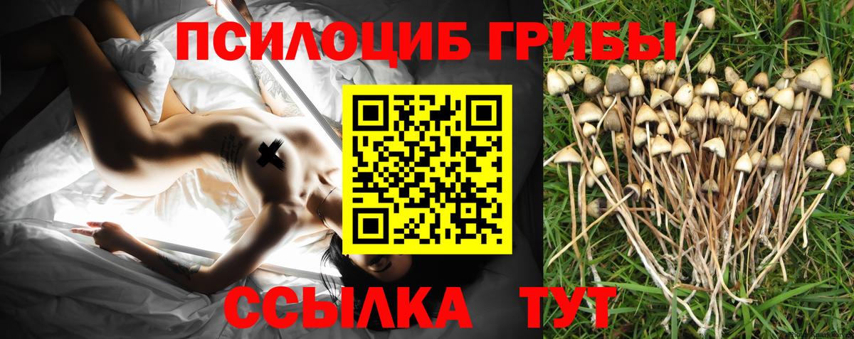 Псилоцибиновые грибы мицелий  Псилоцибиновые грибы Cubensis  закладка  Киселёвск  Вход с VPN 
