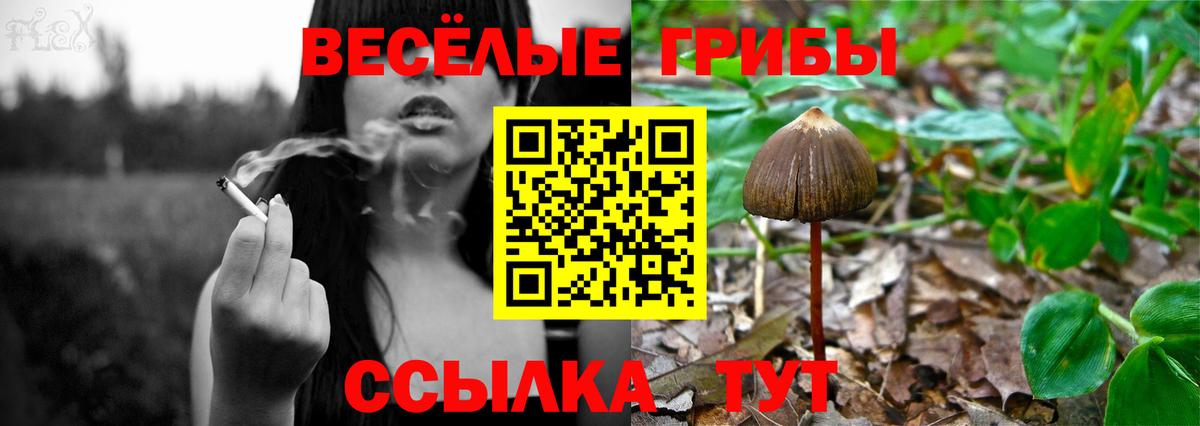 Псилоцибиновые грибы прущие грибы Киселёвск